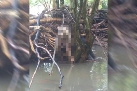 Foto: Divulgação / Jornal Serrano