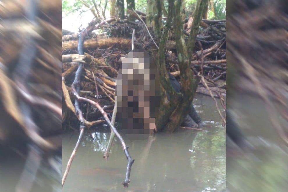 Foto: Divulgação / Jornal Serrano