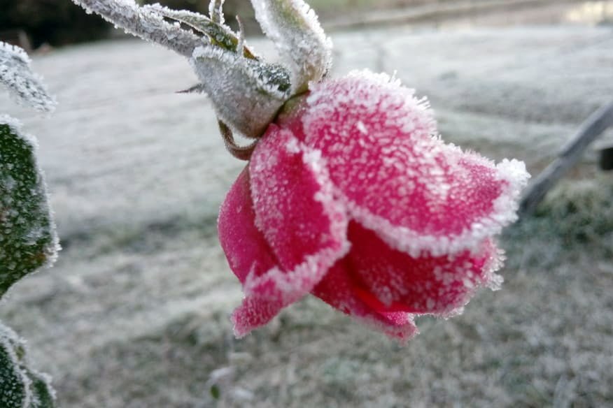 Foto: Alessandro Gasparin / Arquivo Pessoal