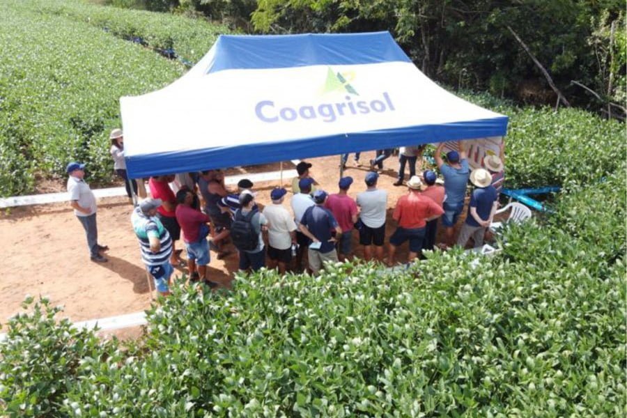 Foto: Divulgação / Coagrisol