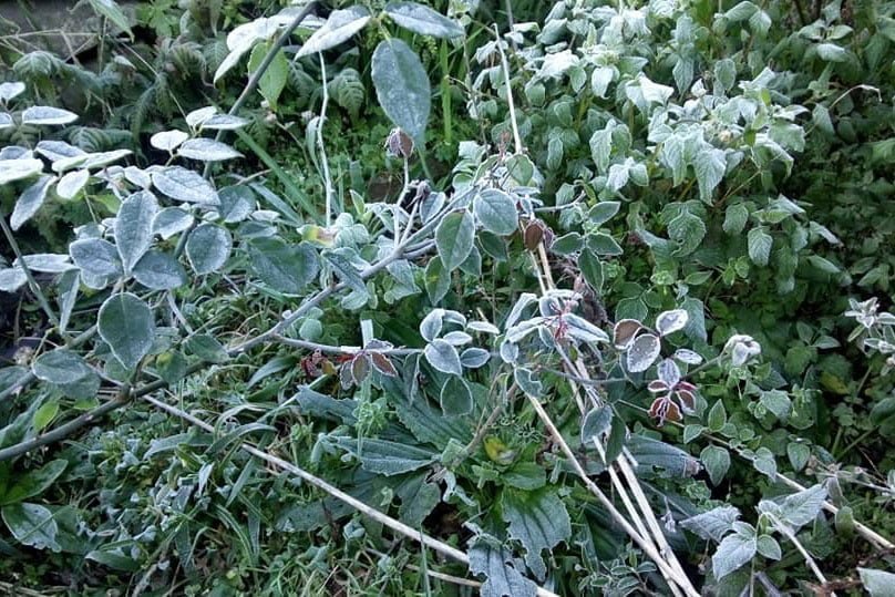 Foto: Carolina Grotto Giongo