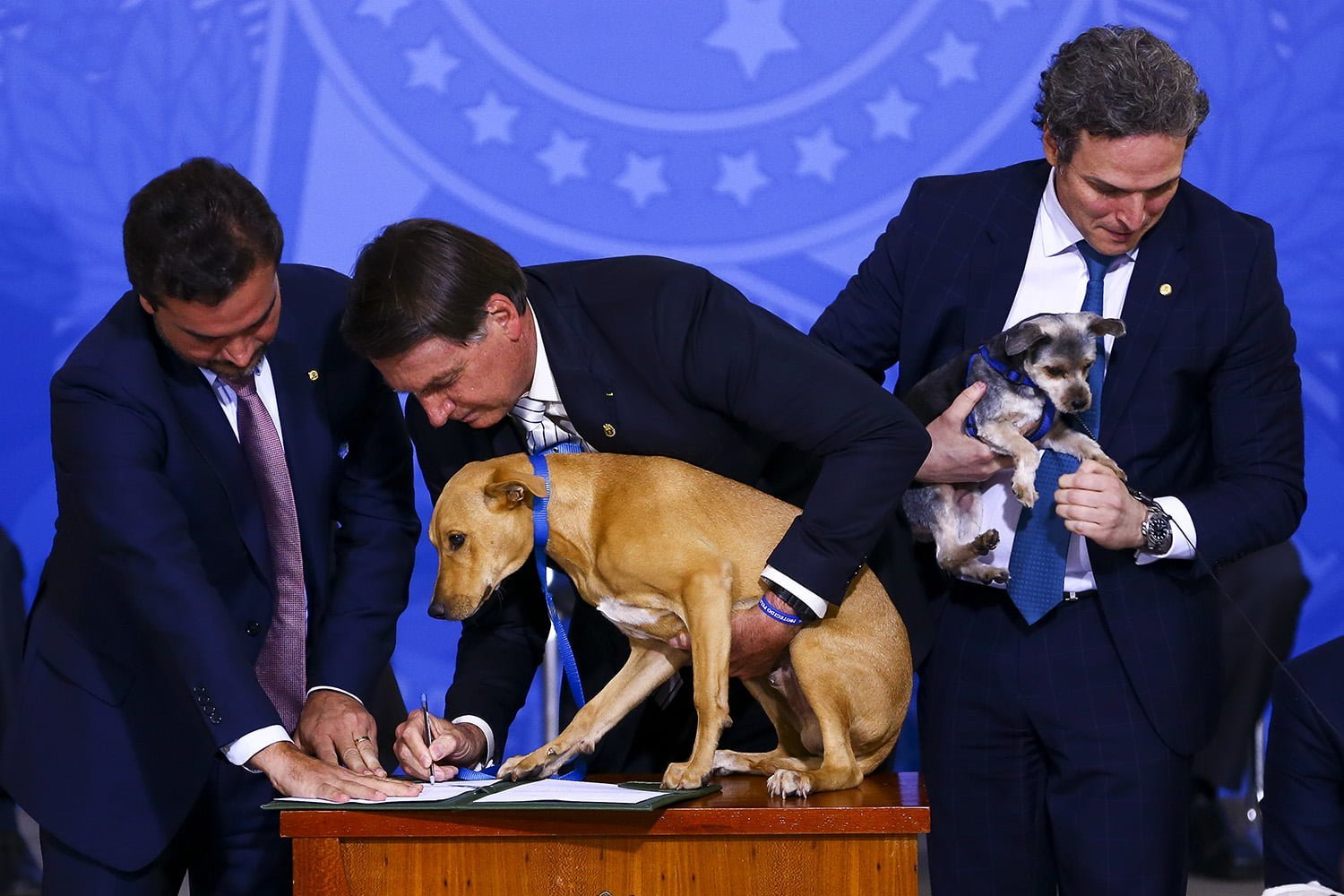 Foto: Marcelo Camargo/Agência Brasil