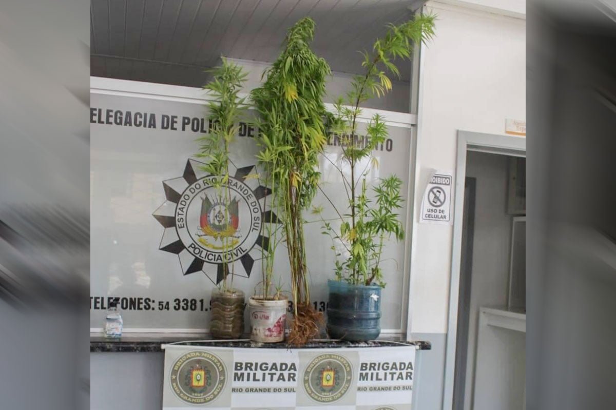 Divulgação / PRF