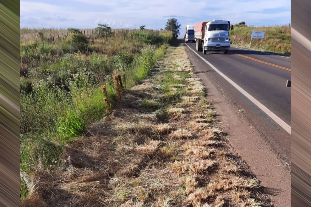 Divulgação / AVASB