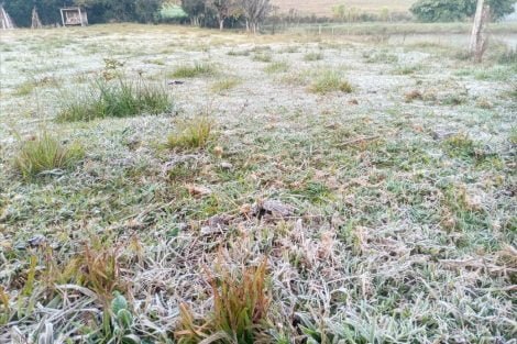 Alessandro Gasparin / Arquivo Pessoal