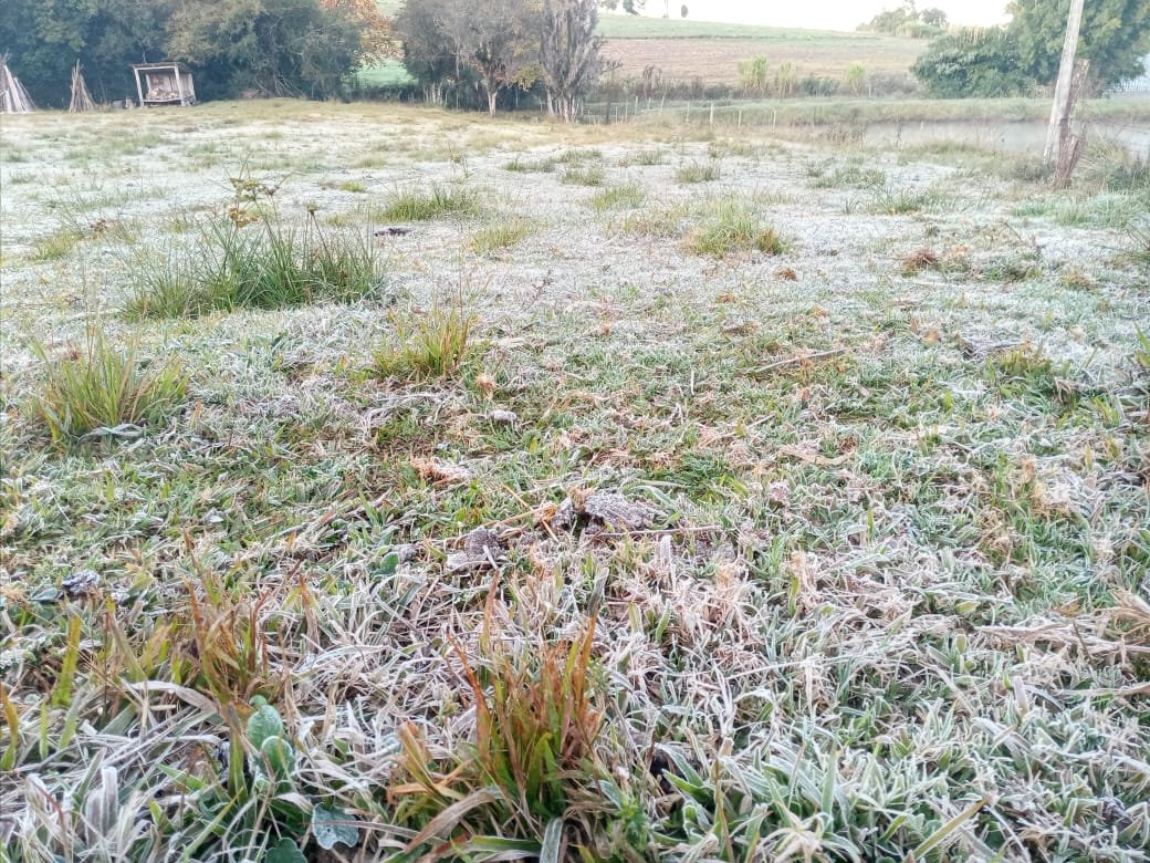 Alessandro Gasparin / Arquivo Pessoal