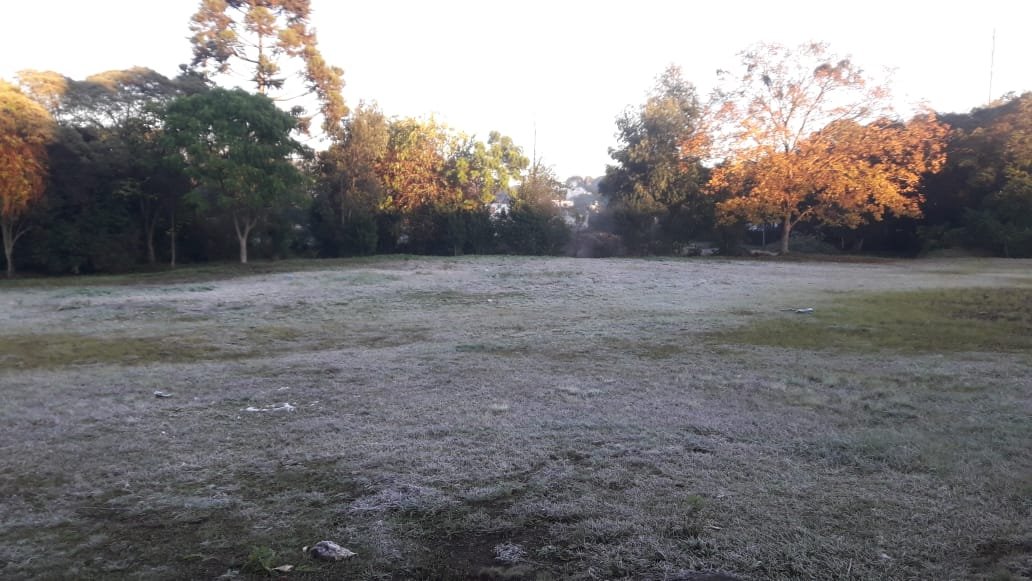 Paulo Henrique Pinheiro / Arquivo Pessoal