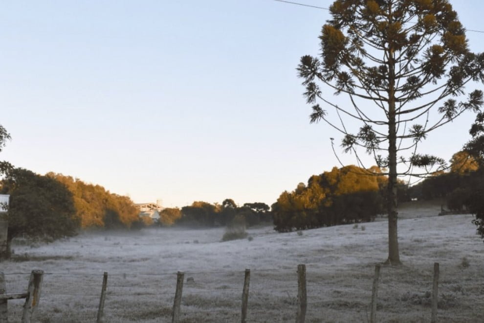 Paulo Henrique Pinheiro / Arquivo Pessoal