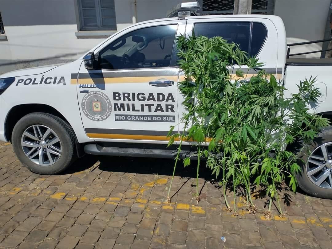 Divulgação / BM