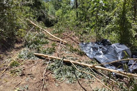 Foto: Corpo de Bombeiros de Soledade
