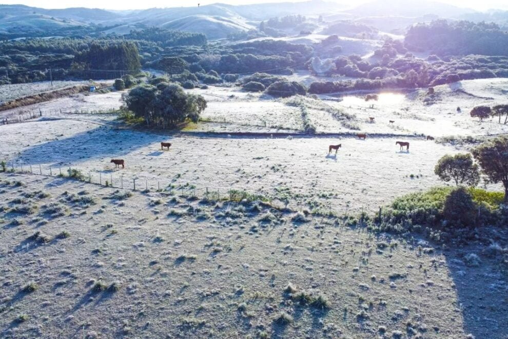 Guto Calvi/Prefeitura de Soledade