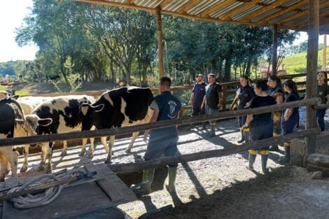 Foto: Informativo Regional