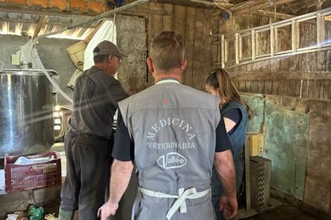 Foto: Informativo Regional