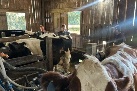 Foto: Informativo Regional