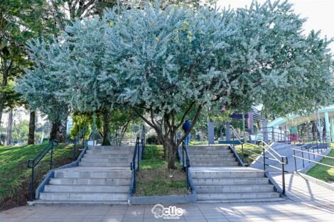 Camila Peres/ClicSoledade