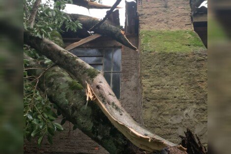 Divulgação / Internautas