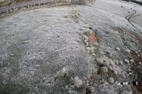 Propriedade Auler - Passo da Taipa