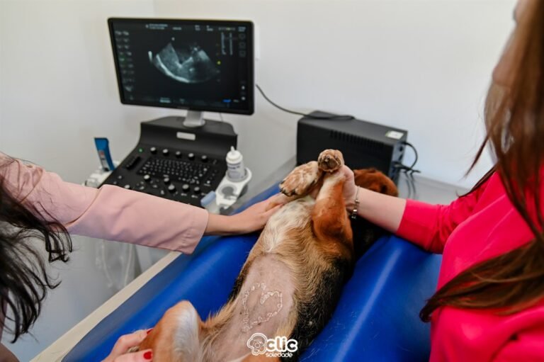 0018_DSC_1993