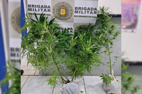 Divulgação / BM