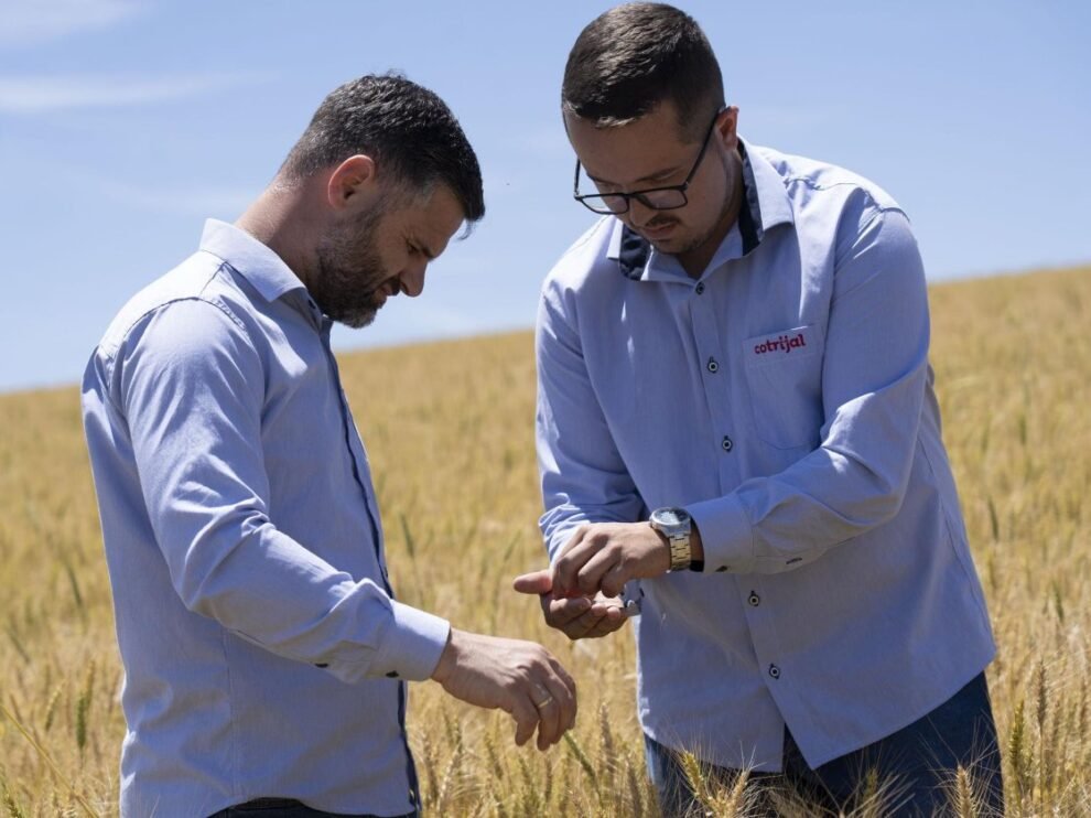 O Departamento Técnico (Detec) da Cotrijal está à disposição para a reta final da safra | Foto: Bruna Scheifler | Divulgação Cotrijal